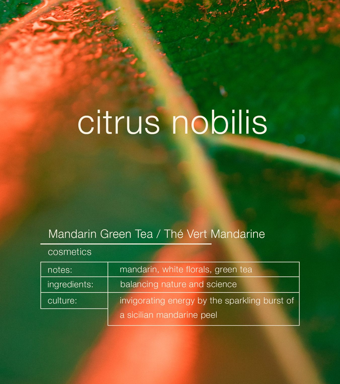 Haarspülung Mandarin Green Tea Citrus Nobilis Conditioner