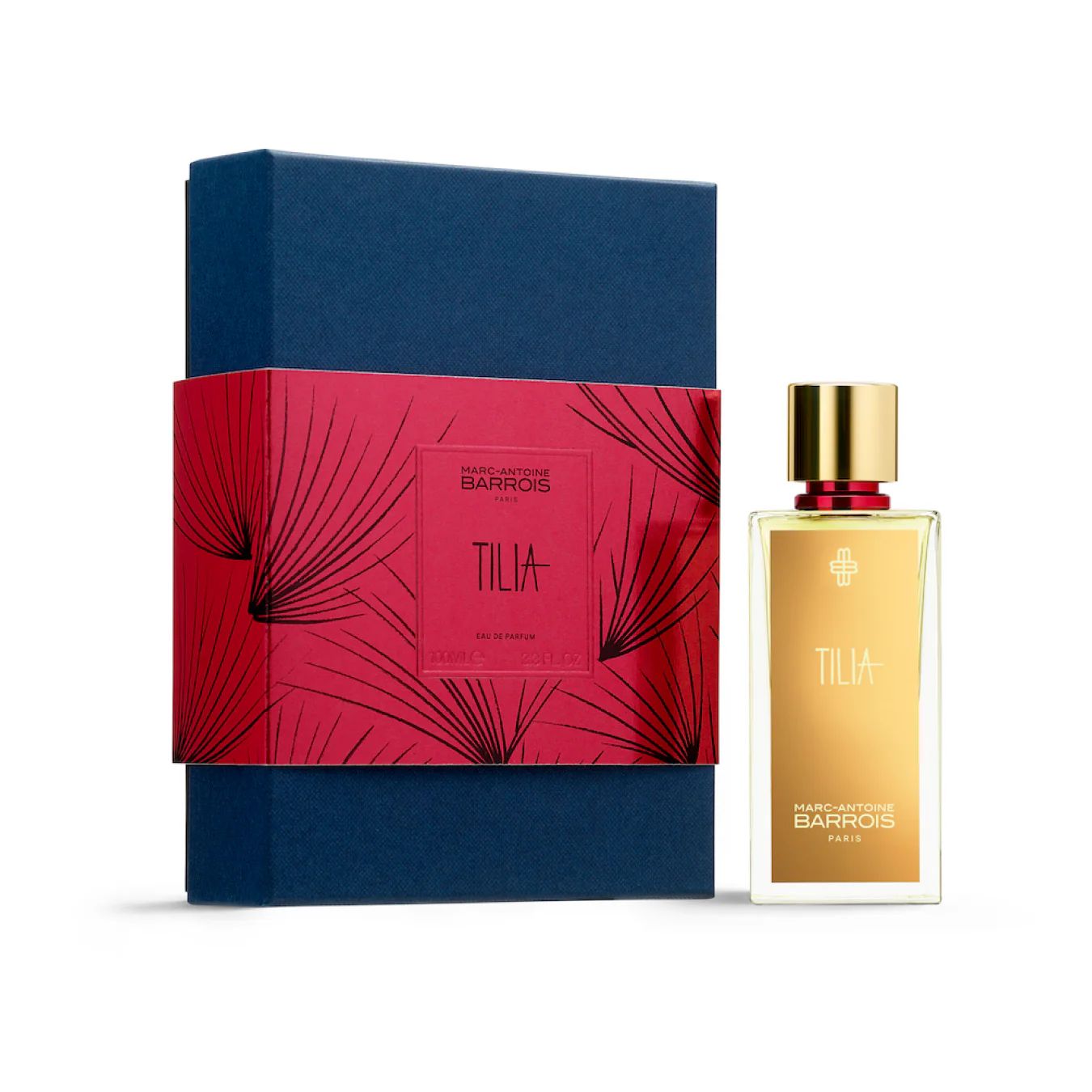 Tilia 