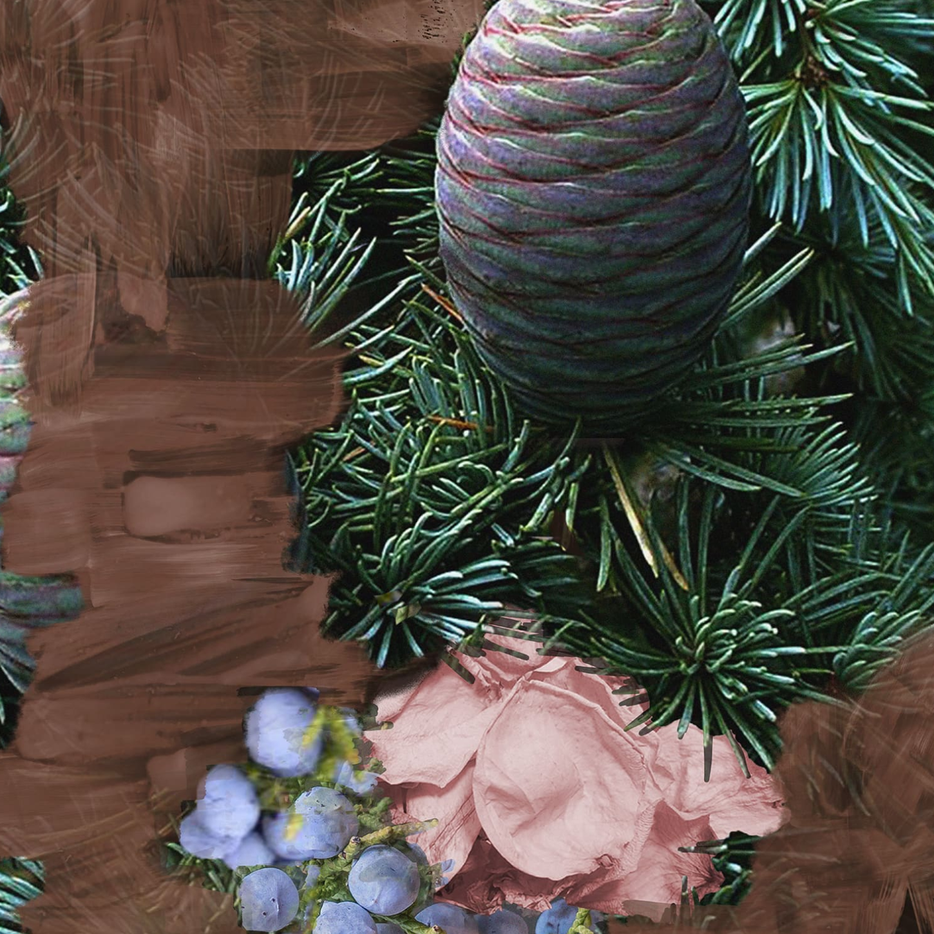Super Cedar Eau de Parfum