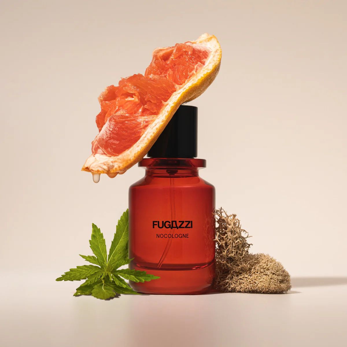 Nocologne Extrait de Parfum