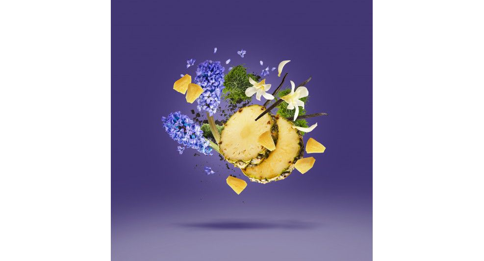 ACCENTO V-Collection