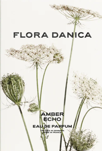 Amber Echo Eau de Parfum
