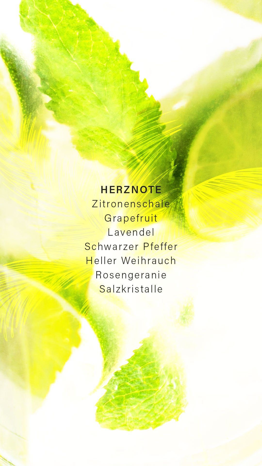 Lime 9 Extrait de Parfum - limited Edition