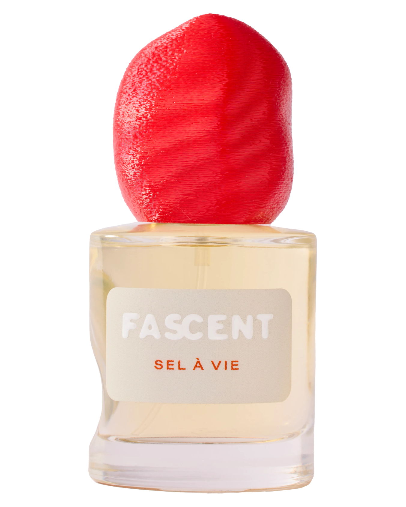 Eine Flasche 30ml Duft Sel a Vie von Fascent