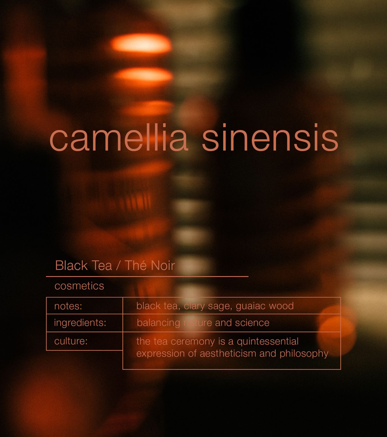 Black Tea Camellia Sinensis Nourishing Shampoo