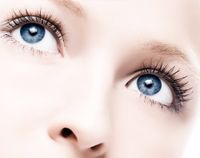 Abend-Make-up - professionell schminken lassen bei F.X. Miller in Regensburg